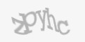Защитный код